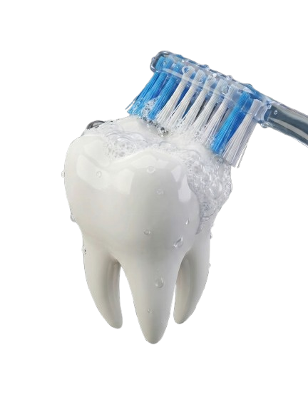 Limpeza Profissional